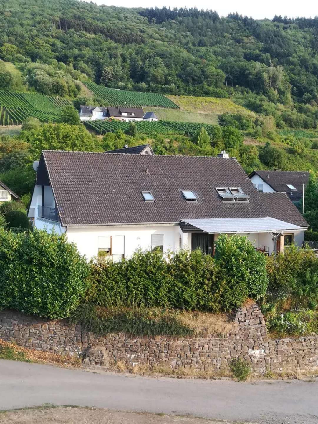 Apartment Gaestehaus Lavendel An Der Mosel Senheim