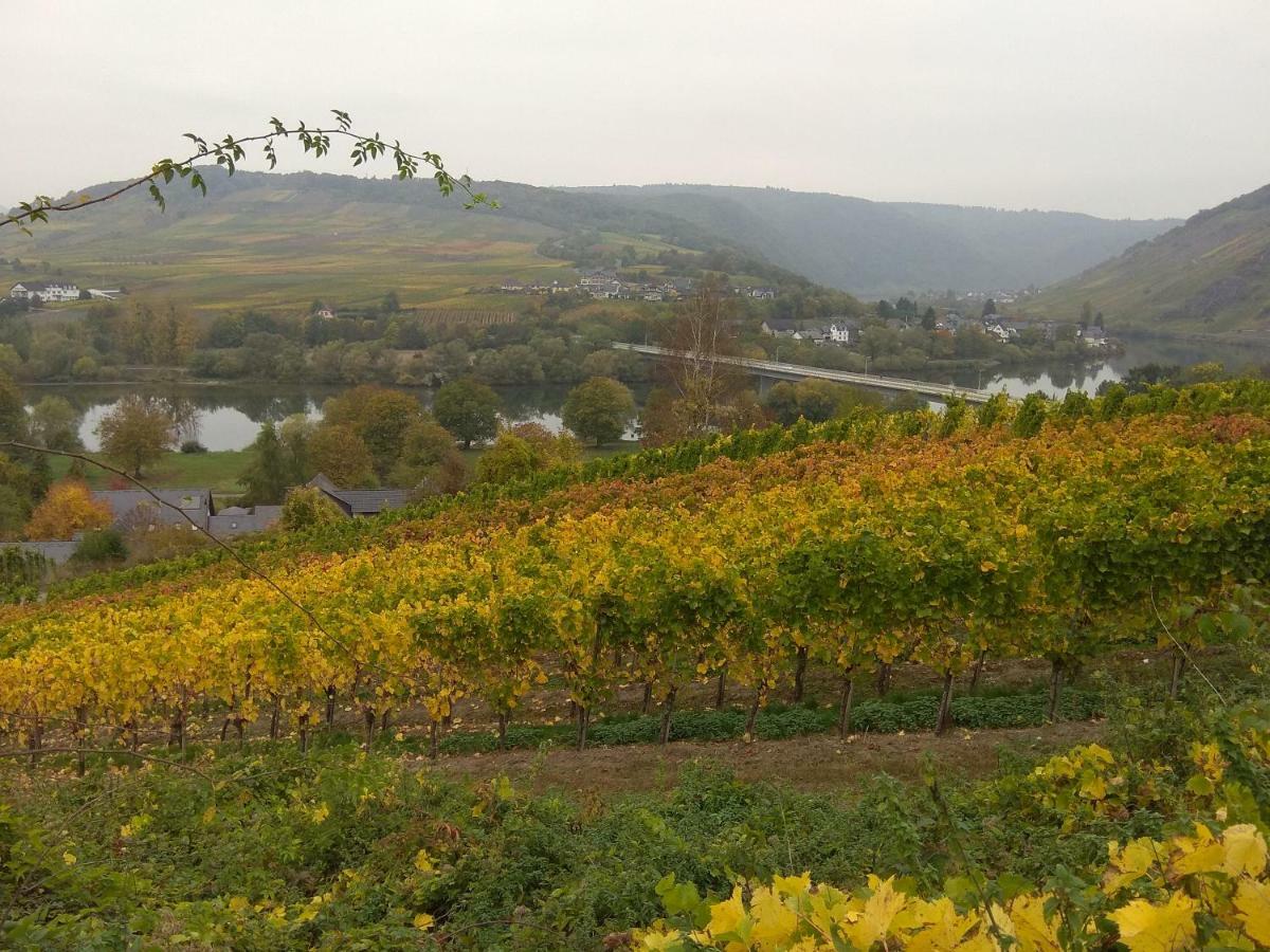 Gaestehaus Lavendel An Der Mosel Apartment